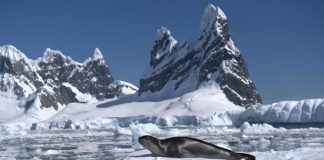 Científicos crean la primera base de datos multimétodo para estudiar los bloqueos atmosféricos en la Antártica