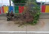Seremi de Seguridad Pública destaca despliegue de Carabineros y equipos municipales durante el sistema frontal