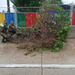 Seremi de Seguridad Pública destaca despliegue de Carabineros y equipos municipales durante el sistema frontal