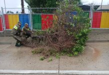 Seremi de Seguridad Pública destaca despliegue de Carabineros y equipos municipales durante el sistema frontal