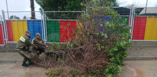 Seremi de Seguridad Pública destaca despliegue de Carabineros y equipos municipales durante el sistema frontal