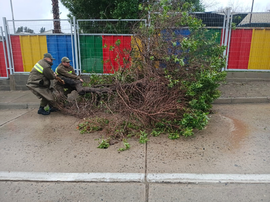 carabineros_sistema_fontal_01