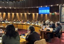 Alcaldesa de Calle Larga expuso Plan Comunal de Prevención del Cáncer en importante encuentro nacional realizado en la CEPAL