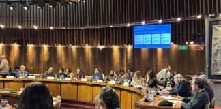 Alcaldesa de Calle Larga expuso Plan Comunal de Prevención del Cáncer en importante encuentro nacional realizado en la CEPAL