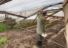 INDAP destina más de $350 millones a la recuperación productiva de agricultores afectados por sistema frontal en la región de Valparaíso