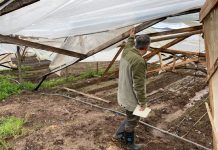 INDAP destina más de $350 millones a la recuperación productiva de agricultores afectados por sistema frontal en la región de Valparaíso