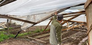 INDAP destina más de $350 millones a la recuperación productiva de agricultores afectados por sistema frontal en la región de Valparaíso
