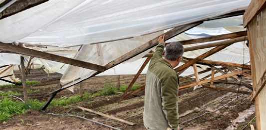 INDAP destina más de $350 millones a la recuperación productiva de agricultores afectados por sistema frontal en la región de Valparaíso