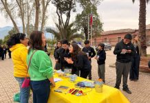 Escolares de Rinconada participaron en jornada de reconocimiento de emociones y prevención del suicidio
