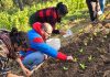 Investigador de INIA Carillanca participó en gira técnica para conocer experiencias agroecológicas de Ñuble y Biobío