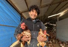 Con energías renovables joven de Llay Llay mejoró su producción de huevos