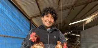 Con energías renovables joven de Llay Llay mejoró su producción de huevos