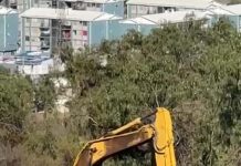 Red de Amigos del cerro Kurapilu–Santa Rosa–Mercacha y diputada Bello vuelven a alertar por nuevas intervenciones en el cerro