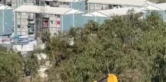 Red de Amigos del cerro Kurapilu–Santa Rosa–Mercacha y diputada Bello vuelven a alertar por nuevas intervenciones en el cerro