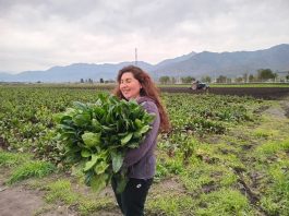 TAS: Prácticas sostenibles para avanzar hacia una agricultura más resiliente