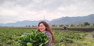 TAS: Prácticas sostenibles para avanzar hacia una agricultura más resiliente