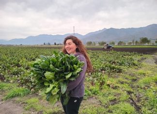 TAS: Prácticas sostenibles para avanzar hacia una agricultura más resiliente