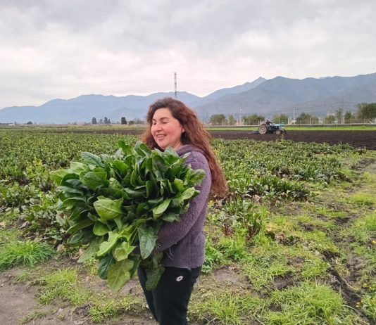 TAS: Prácticas sostenibles para avanzar hacia una agricultura más resiliente