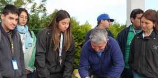Municipio andino abre nuevas oportunidades de inclusión laboral para estudiantes de la Escuela Especial Mundo Color