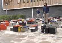 PDI recupera $500 millones en especies y detiene a 51 personas en operación “Sin Cobertura II”