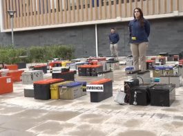 PDI recupera $500 millones en especies y detiene a 51 personas en operación “Sin Cobertura II”