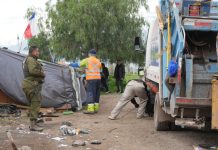 Municipalidad de Los Andes y Carabineros realizan retiro de ruco en Avenida Las Industrias