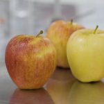 Innovación USM transforma la manzana en un snack de etiqueta limpia para un envejecimiento saludable