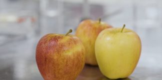 Innovación USM transforma la manzana en un snack de etiqueta limpia para un envejecimiento saludable