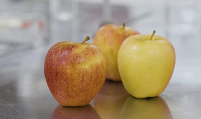 Innovación USM transforma la manzana en un snack de etiqueta limpia para un envejecimiento saludable